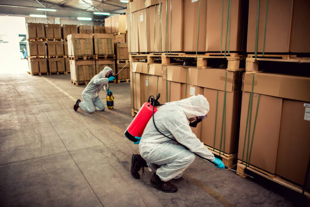 Best Cockroach Control Services  in Tavernier, FL