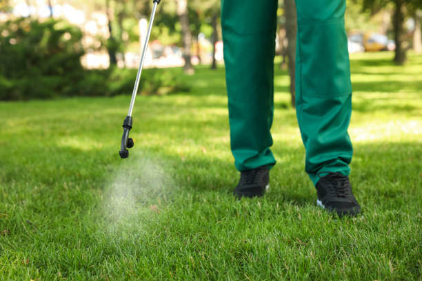 Best Emergency Pest Control  in Tavernier, FL