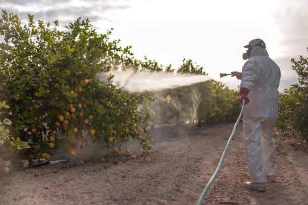 Pest Prevention Services in Tavernier, FL