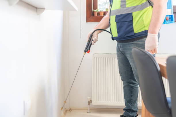 Best Affordable Pest Control Services  in Tavernier, FL
