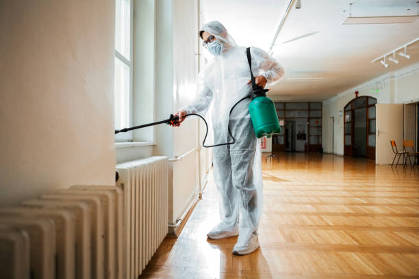 Best Termite Control Services  in Tavernier, FL